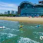 冲浪淘汰赛上演强强对话，关东犀牛队强势横扫皖南飞鹰队，多点开花奏效；重拾自信的夜晚的简单介绍