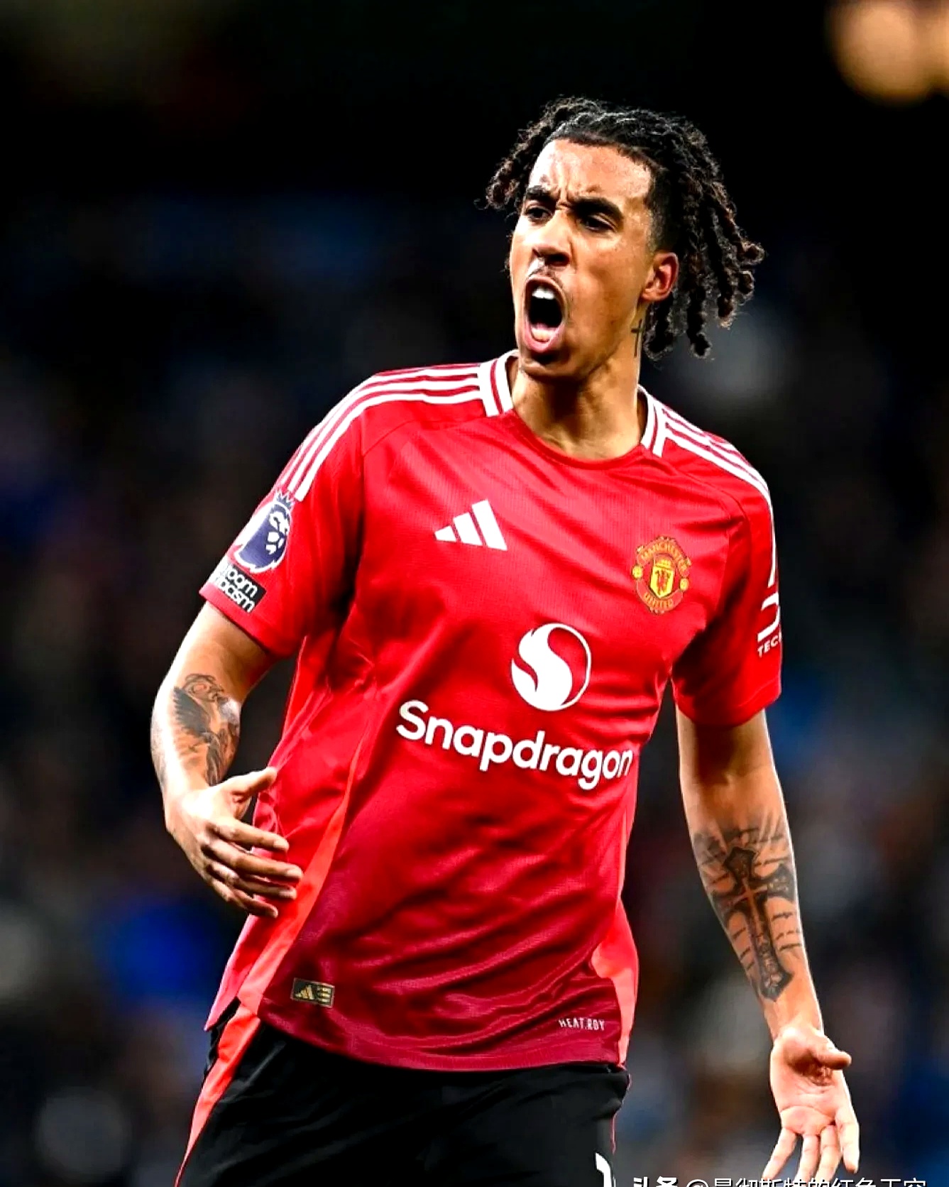 晓松奇谈完整珍藏版 晓松奇谈完整珍藏版